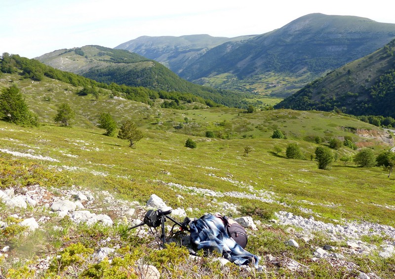 Una giornata tra le orchidee da Villetta Barrea a Scanno - 16 giugno 2021